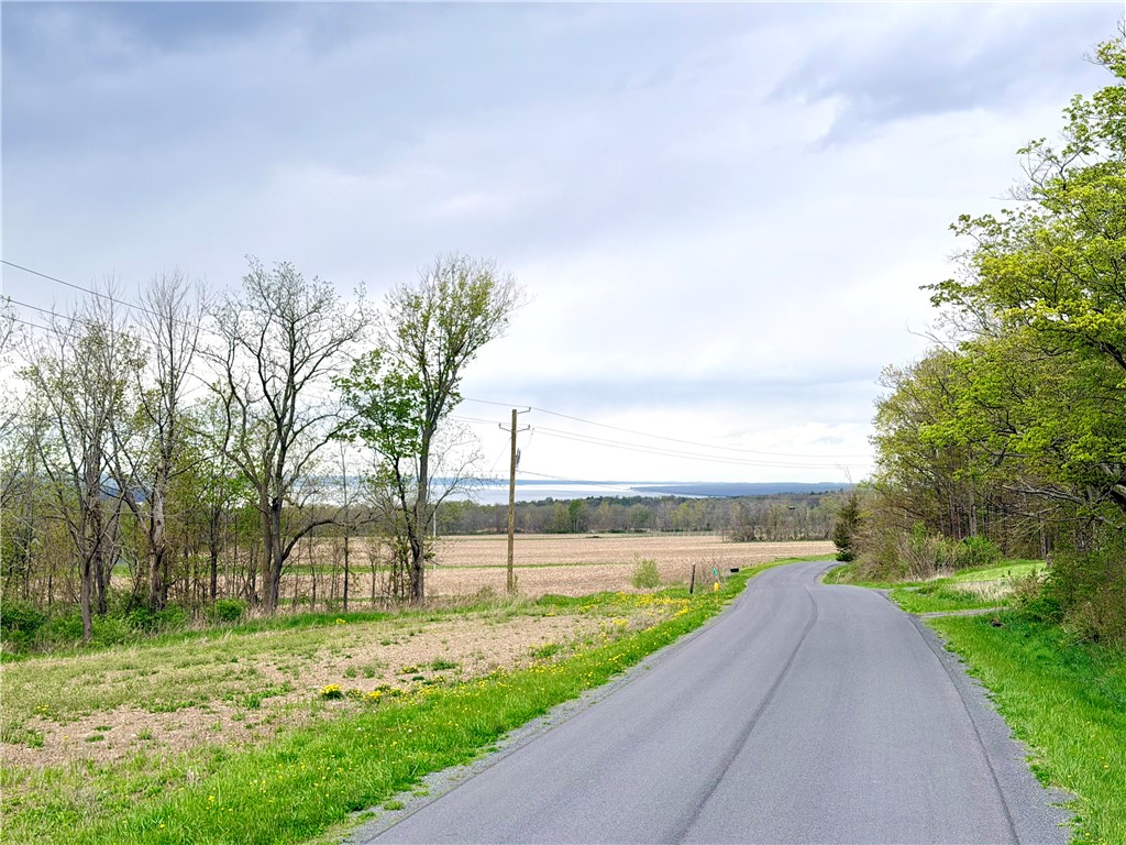 Upper Lake Road Lodi, NY 14860 - Photo 6 of 9