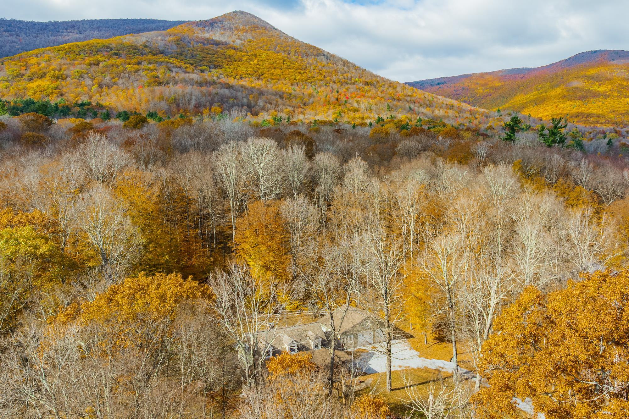 181 White Tail Run Arlington, VT 05250 - Photo 2 of 41