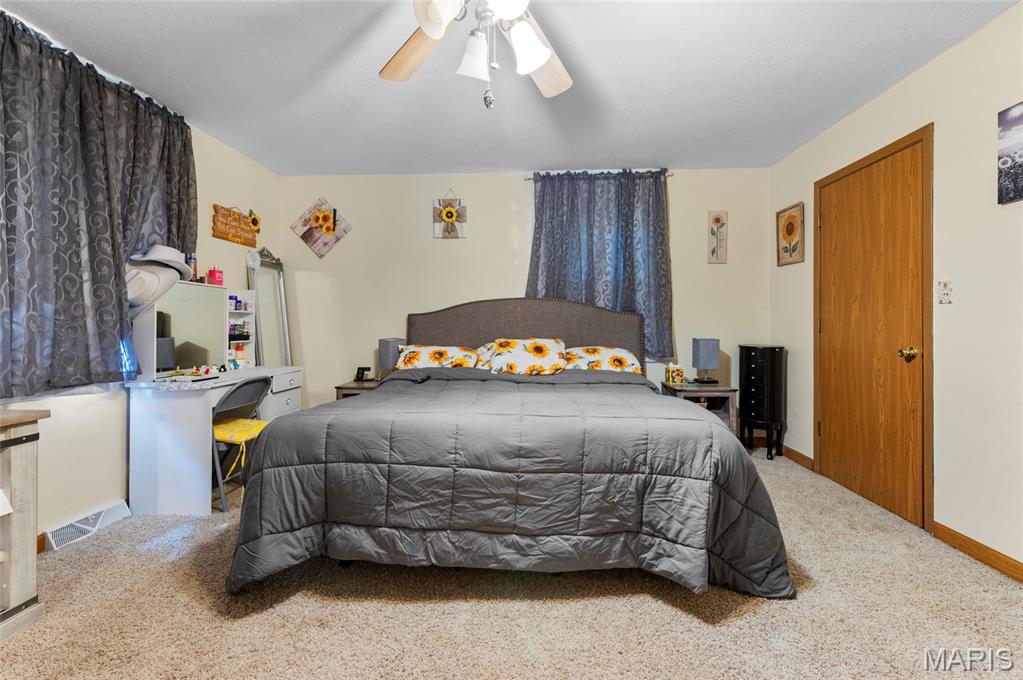 716 Springfield Road Gillespie, IL 62033 - Photo 18 of 33