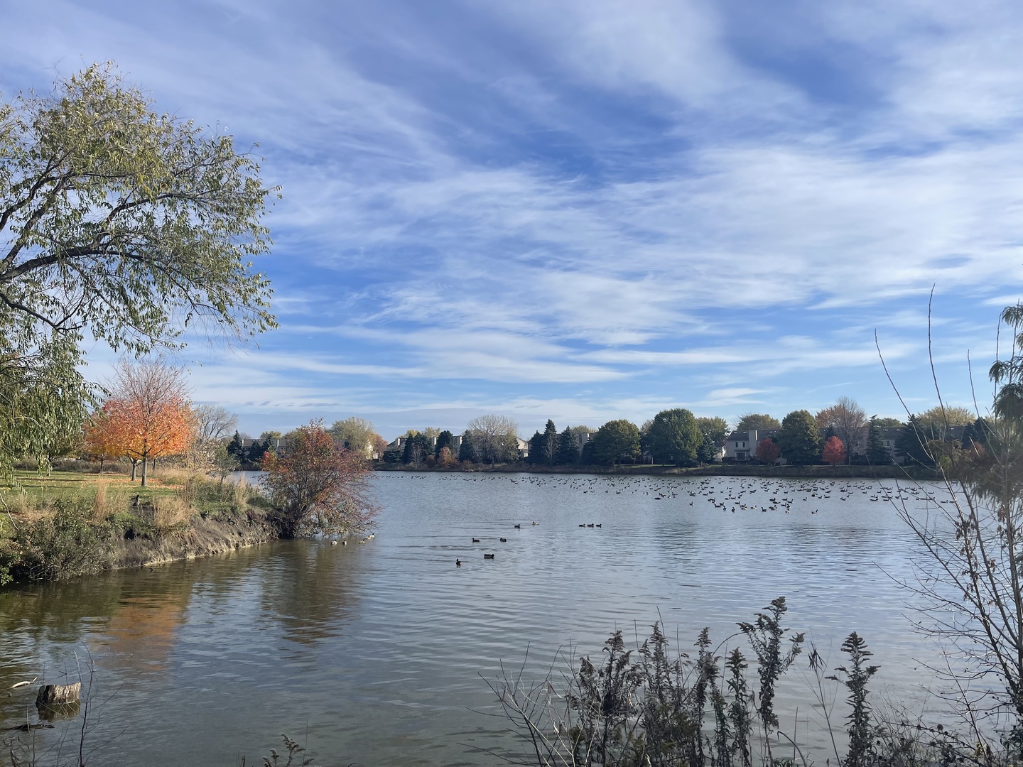 1455 Elder Drive Aurora, IL 60506 - Photo 18 of 19 a view of lake