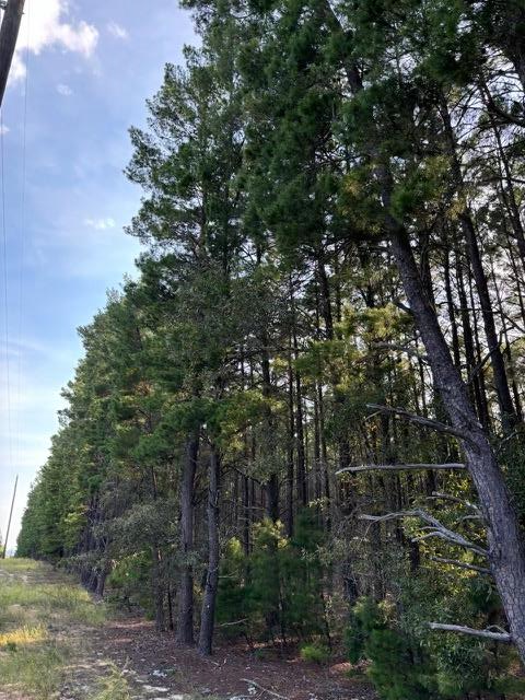 0 Edgar Jones Road Mauk, GA 31058 - Photo 4 of 21 Gallery Image 4