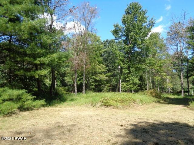 Lot 9 Stabler Road Hawley, PA 18428 - Photo 7 of 30