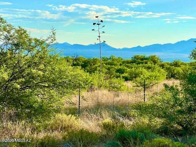 36.10 Acres Street St. David, AZ 85630 - Photo 4 of 21