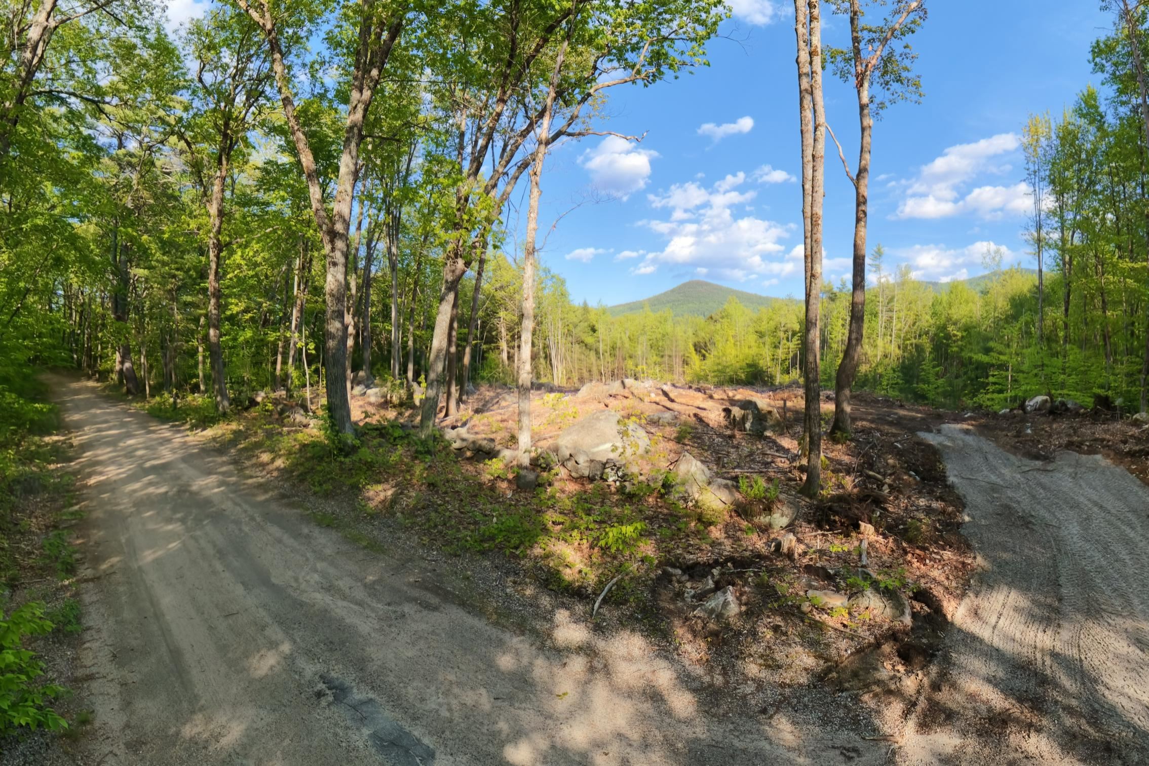 0 Elijah Beede Road Sandwich, NH 03227 - Photo 6 of 28