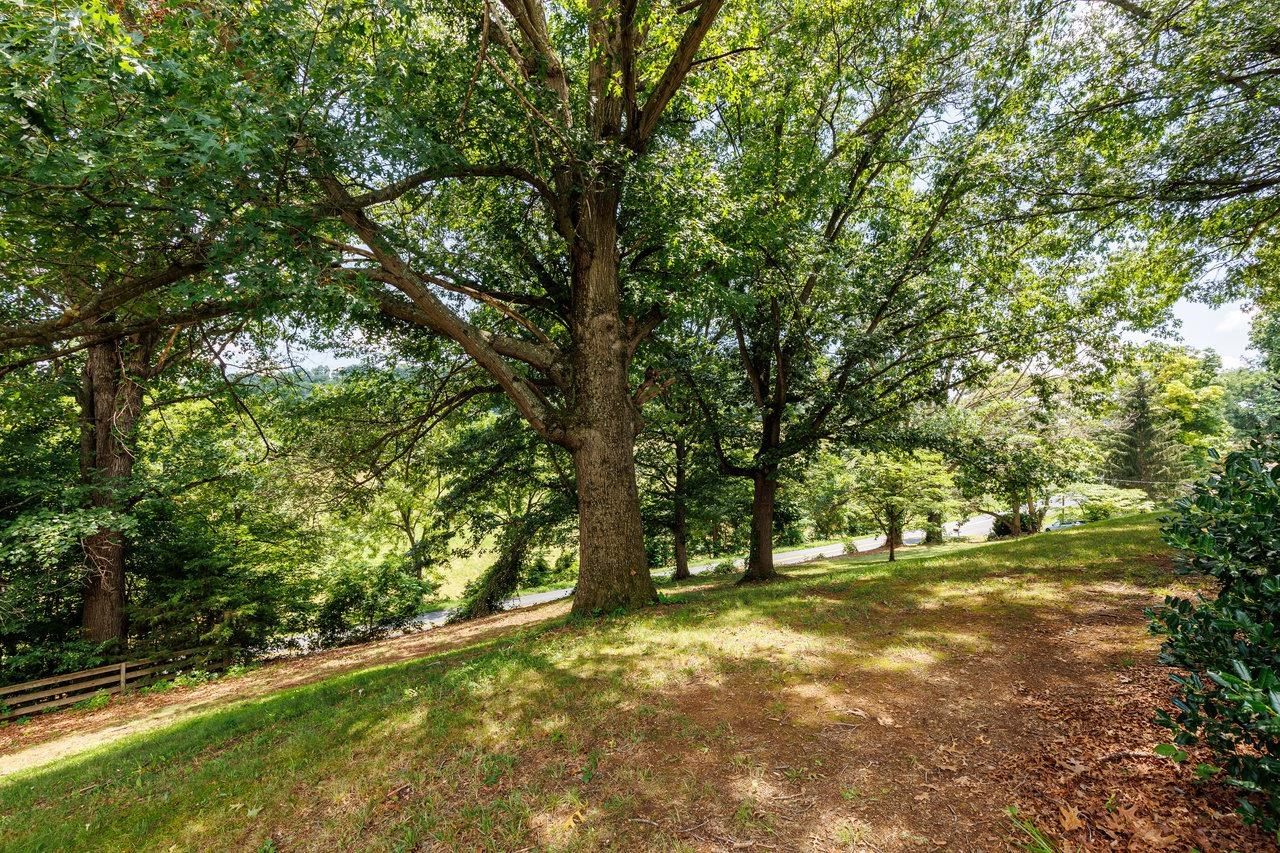 1893 Layman Trestle Road Harrisonburg, VA 22802 - Photo 51 of 73 Gallery Image 51