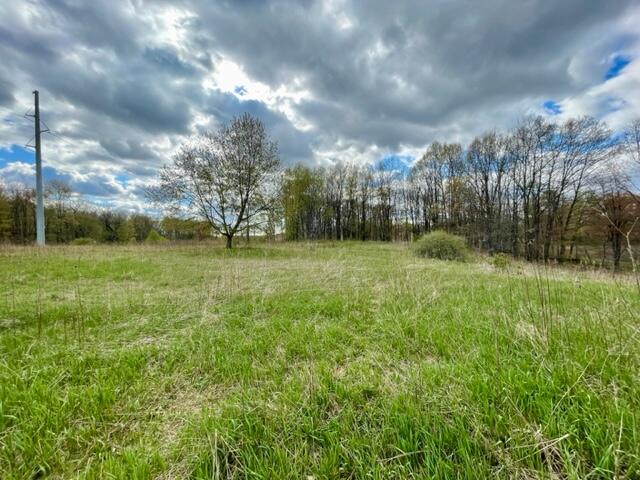 24 24 Mile Road Battle Creek, MI 49014 - Photo 2 of 9