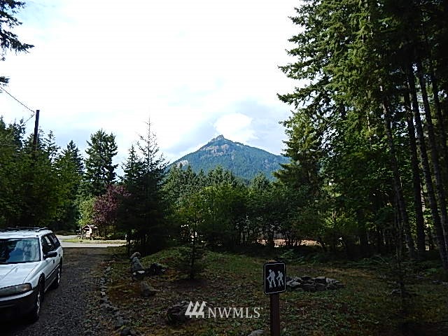 542 Cannon Road Packwood, WA 98361 - Photo 12 of 13 Gallery Image 12