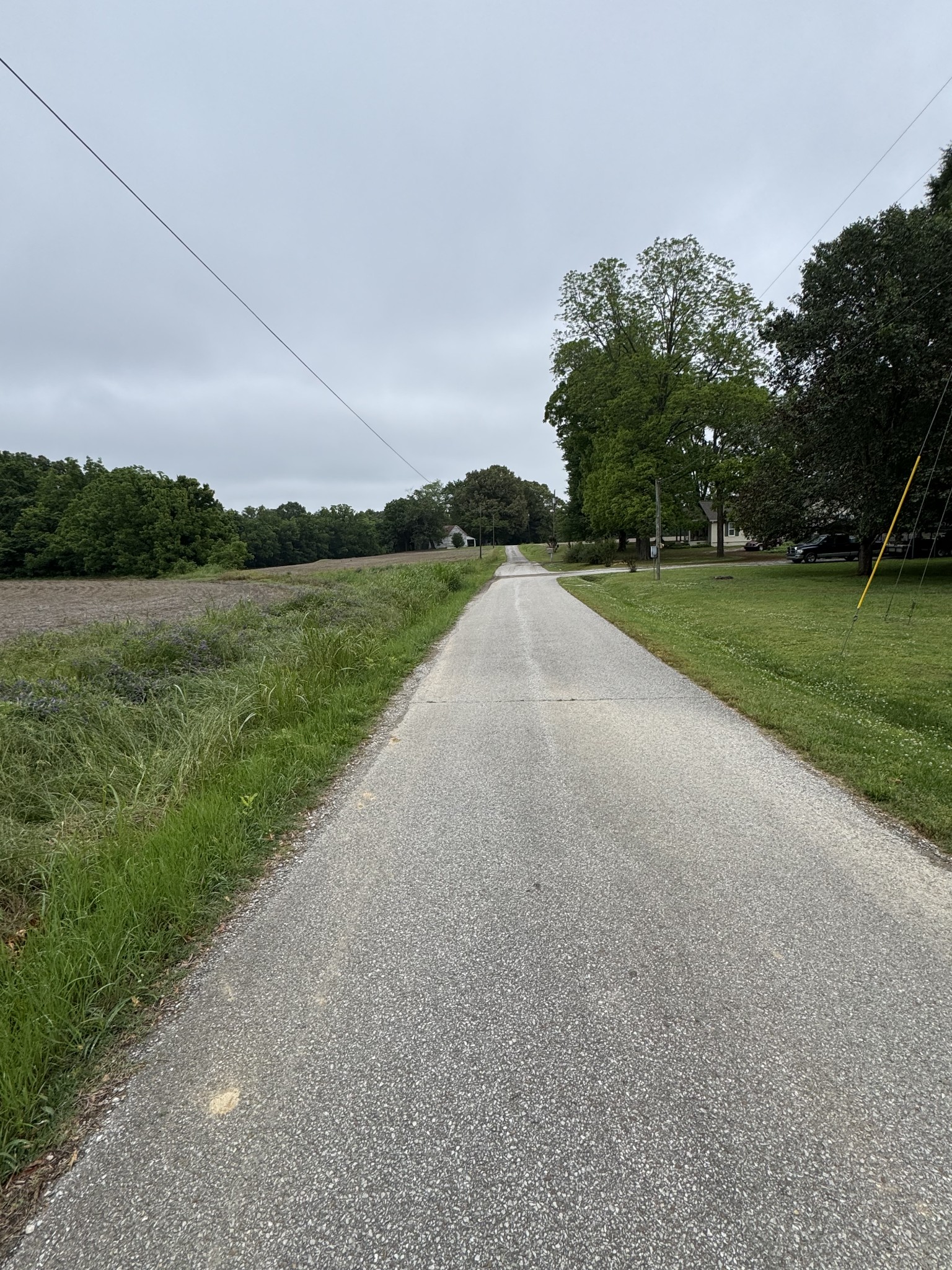 325 Harts Mill Road Atwood, TN 38220 - Photo 17 of 44