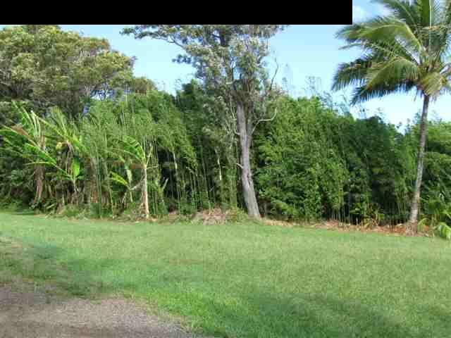 16 Hea'aula Haiku, HI 96708 - Photo 8 of 30 a view of a garden