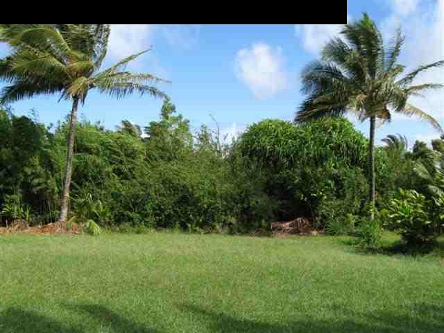 16 Hea'aula Haiku, HI 96708 - Photo 9 of 30 a view of a garden