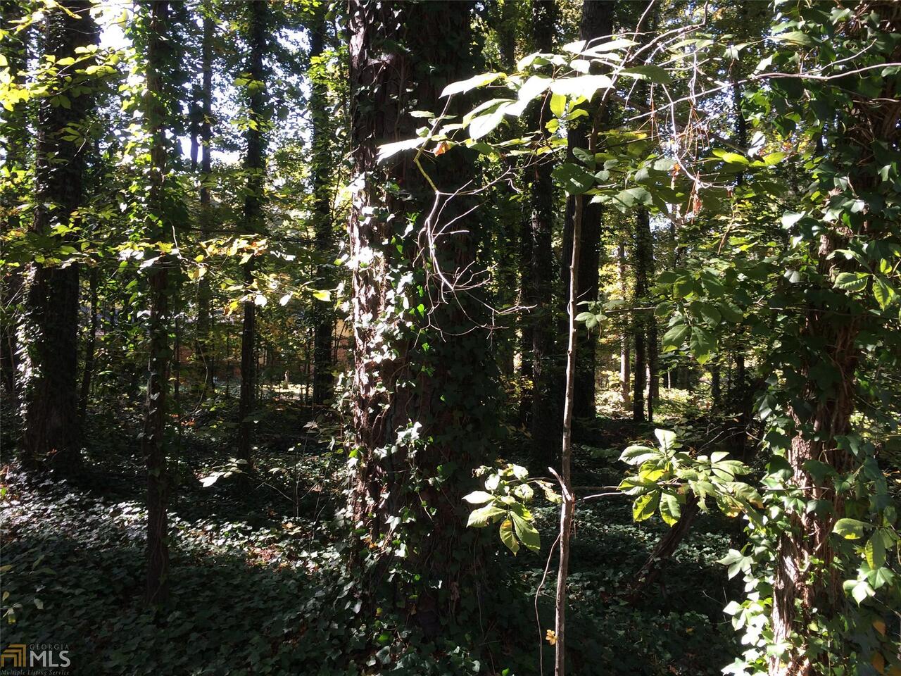 30331 Cascade Road Atlanta, GA 30331 - Photo 1 of 1 a picture of tree