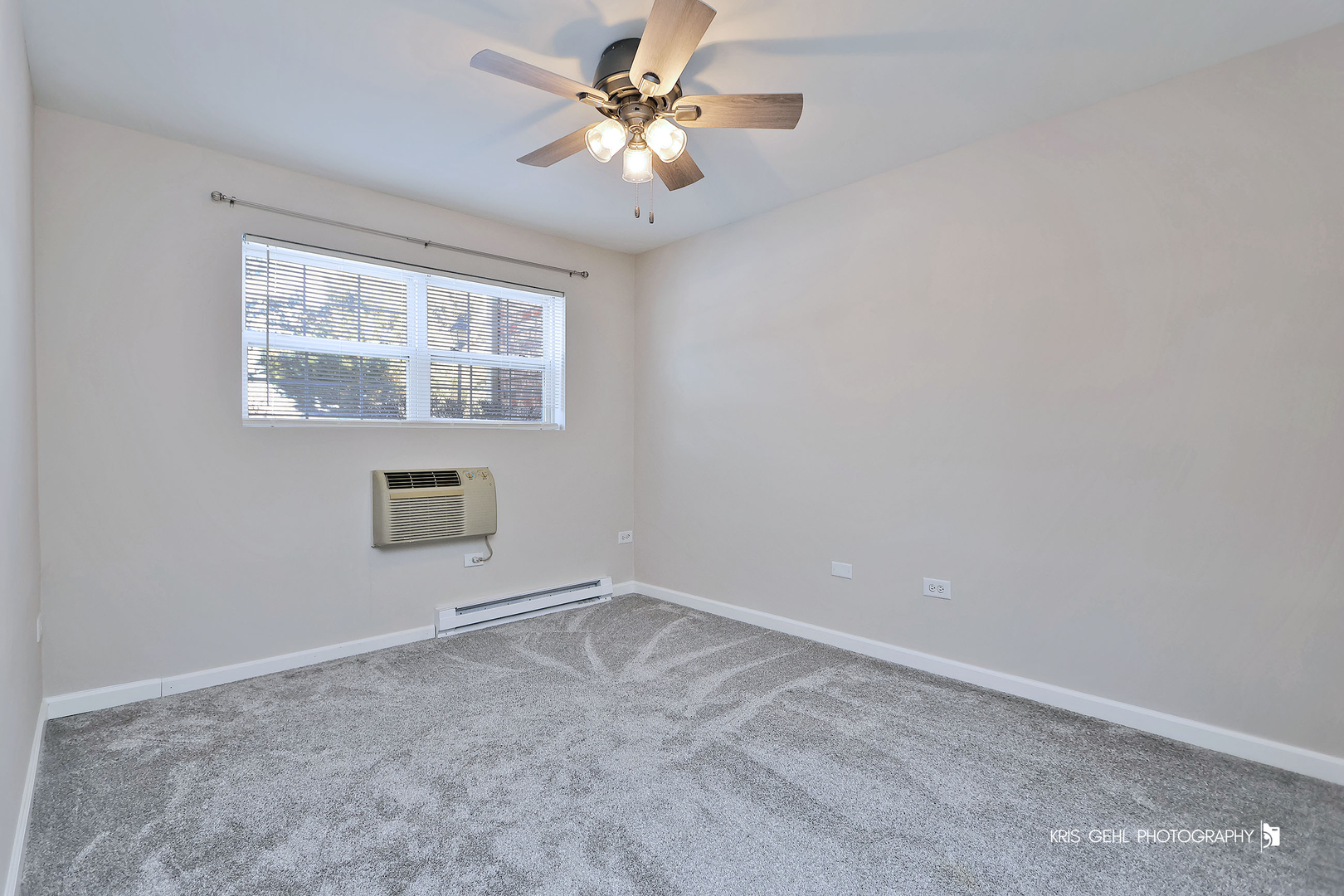 1508 Spring Brook Court, Unit 1D Round Lake Beach, IL 60073 - Photo 15 of 19