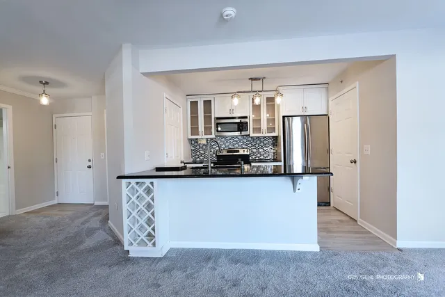 $170,000 | 1508 Spring Brook Court, Unit 1D, Round Lake Beach, IL 60073