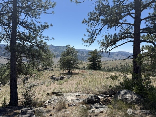 132 West Cayuse Mountain Road Tonasket, WA 98855 - Photo 28 of 29