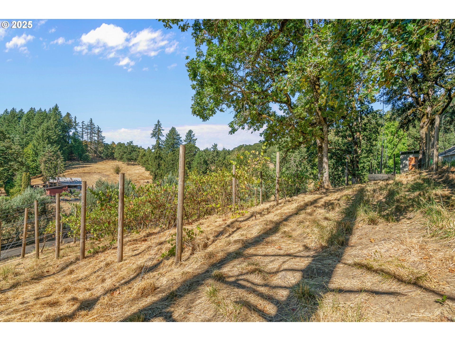 1399 Twin Hills Road Southeast Jefferson, OR 97352 - Photo 36 of 46