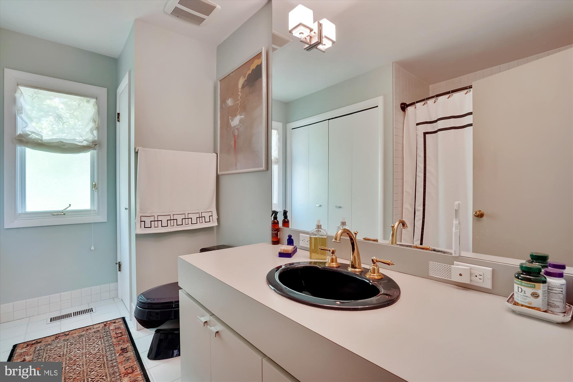 1703 Red Oak Circle Reston, VA 20190 - Photo 20 of 43 Hall full bath
