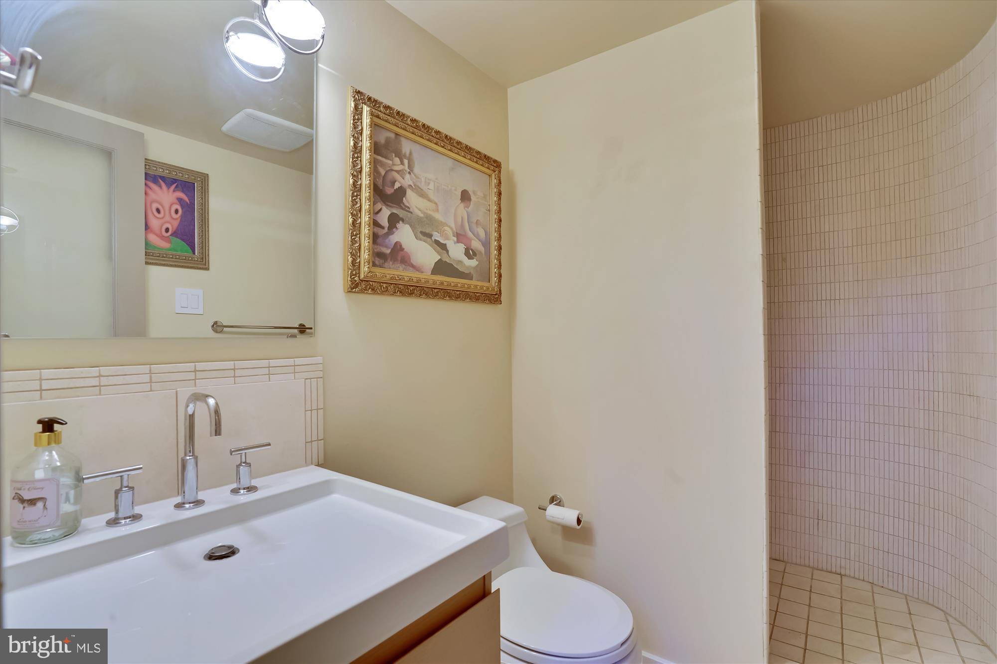 1703 Red Oak Circle Reston, VA 20190 - Photo 24 of 43 Lower level full bath