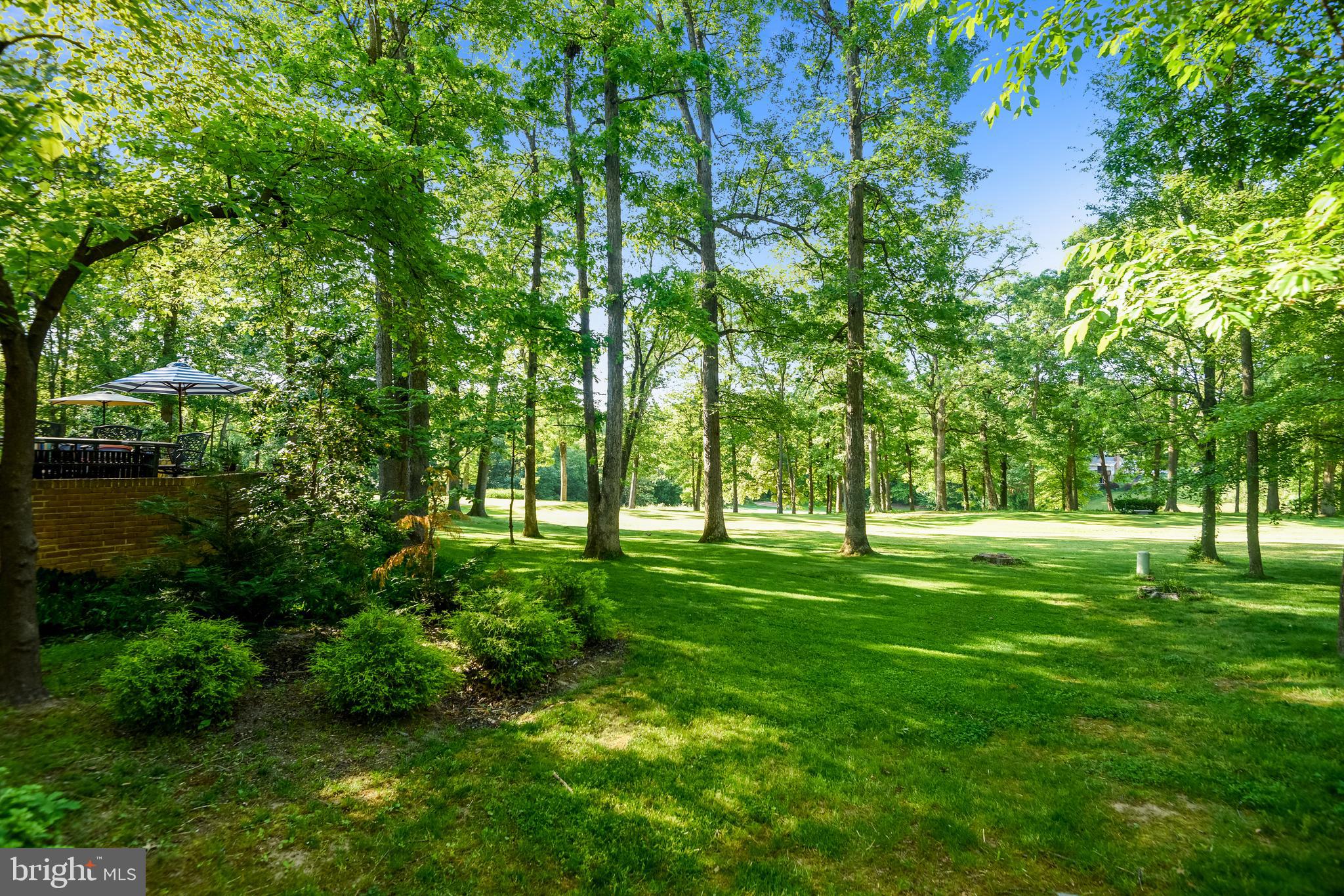 1703 Red Oak Circle Reston, VA 20190 - Photo 28 of 43 View from back of property