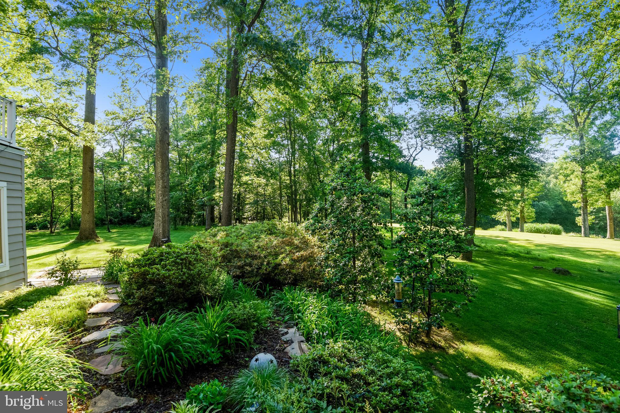 1703 Red Oak Circle Reston, VA 20190 - Photo 29 of 43 View from back patio