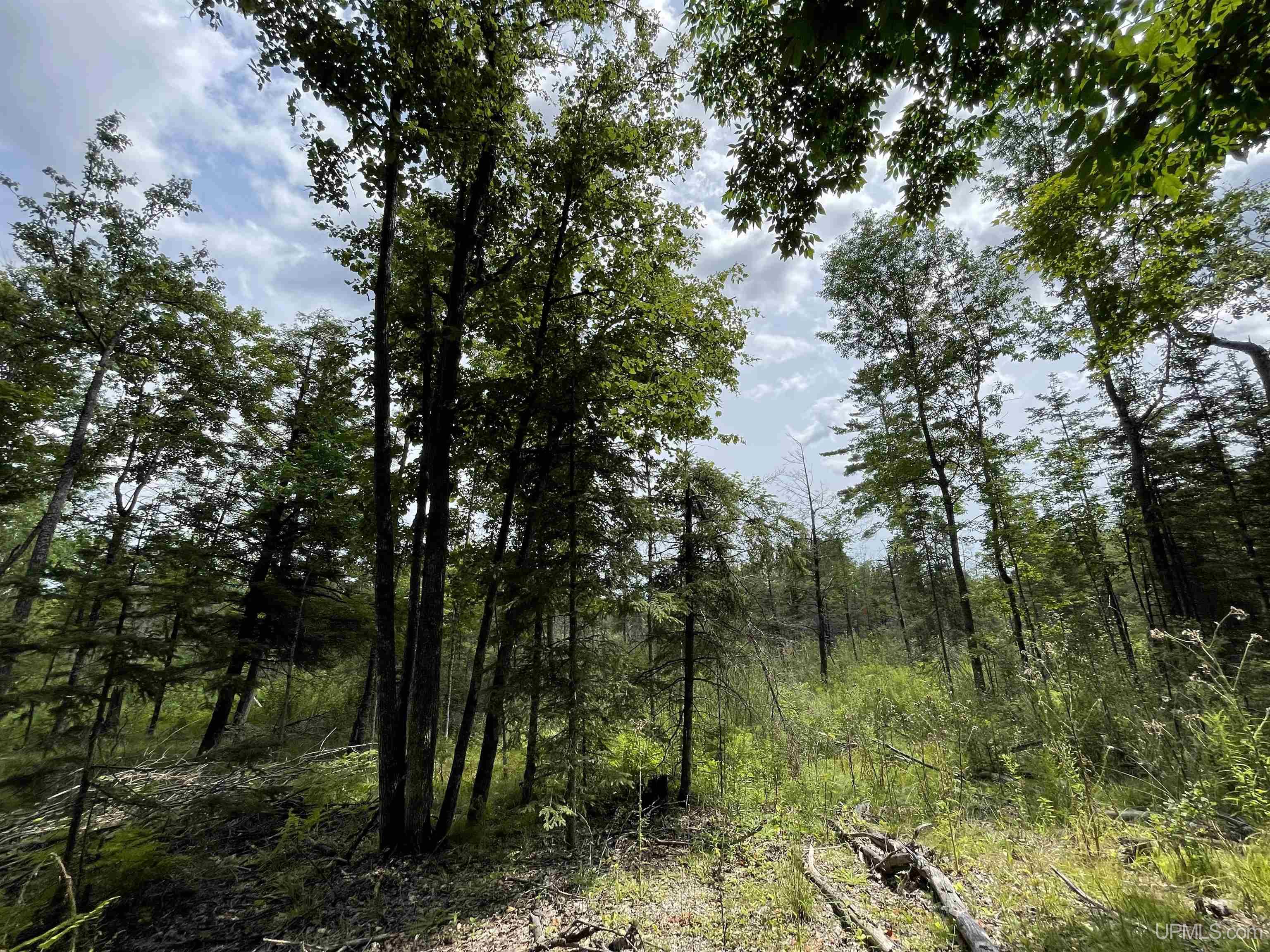 1 Gustafson Road Vulcan, MI 49892 - Photo 18 of 55