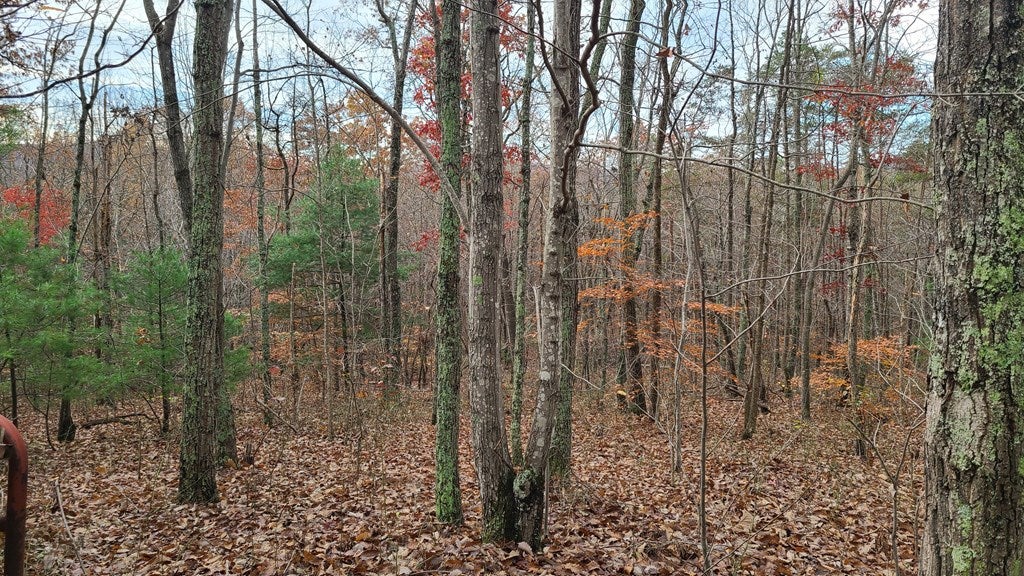 Welsh Mt Road, Unit 7 & 8 Shipman, VA 22971 - Photo 11 of 23 Gallery Image 11