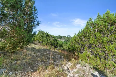 a view of a lake with a tree in the background