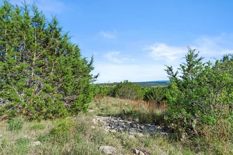 a view of a lush green space with sea