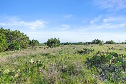 a view of a lush green space