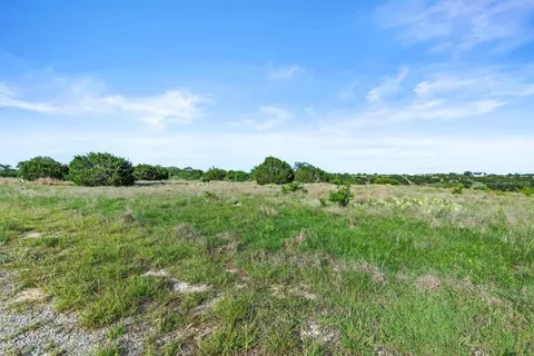 a view of a lush green space