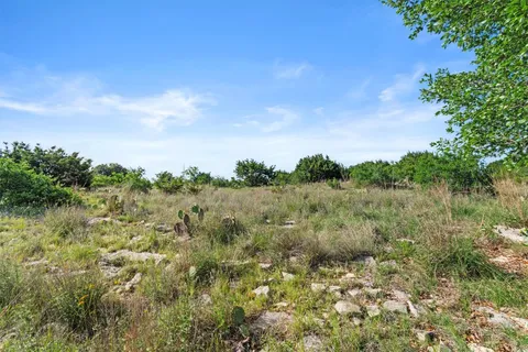 view of a bunch of trees