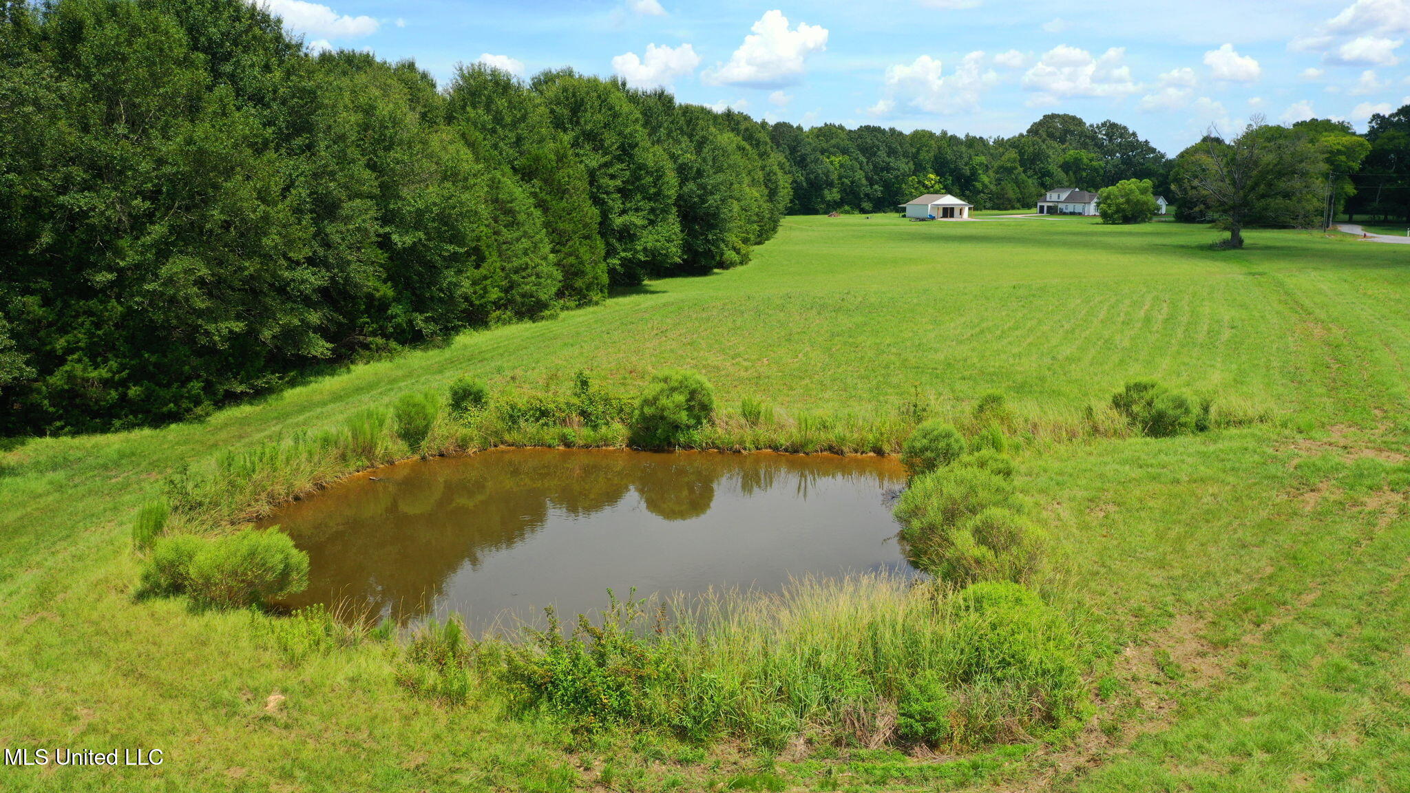 0 Russell Road Flora, MS 39071 - Photo 2 of 12 2-web-or-mls-CaneCreek-2