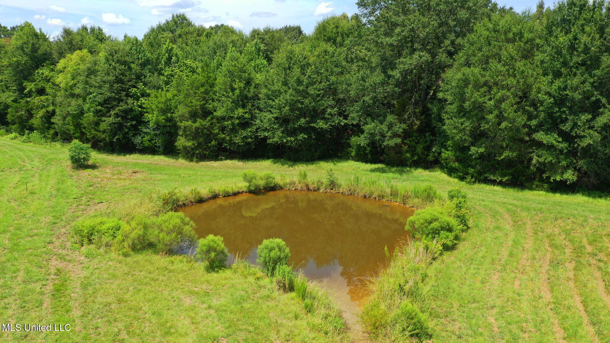 0 Russell Road Flora, MS 39071 - Photo 3 of 12 3-web-or-mls-CaneCreek-3