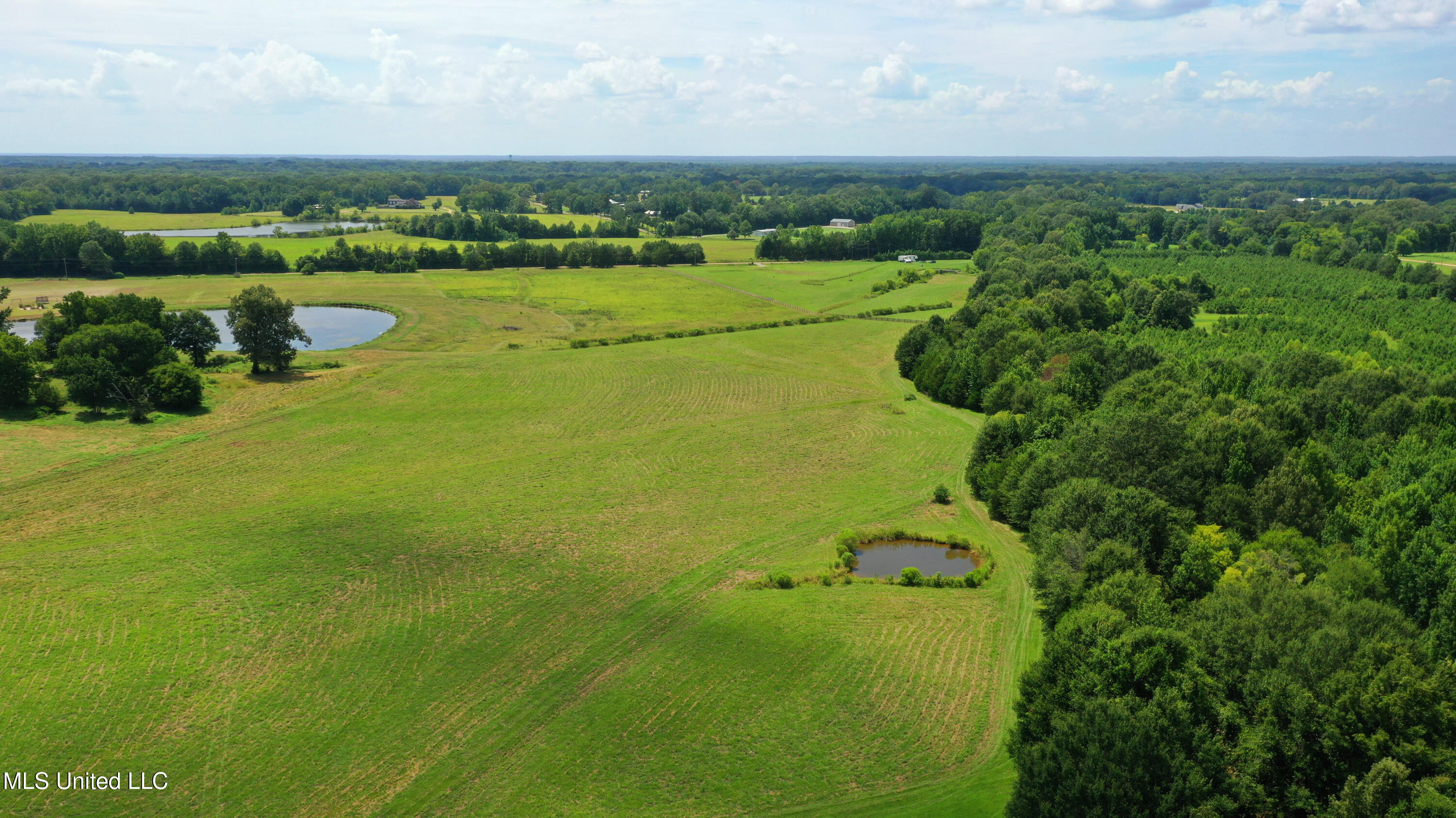 0 Russell Road Flora, MS 39071 - Photo 5 of 12 5-print-CaneCreek-5