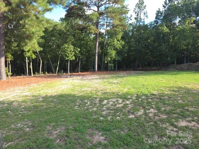 $244,900 | 2939 Landfill Road, Mount Croghan, SC 29727