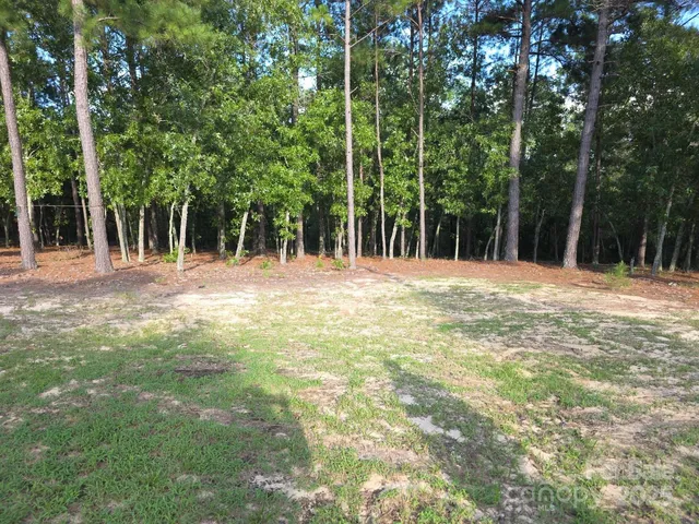 $244,900 | 2939 Landfill Road, Mount Croghan, SC 29727