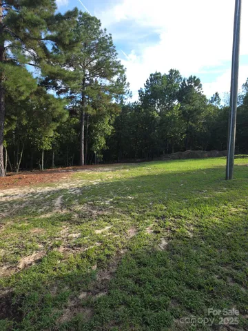 $244,900 | 2939 Landfill Road, Mount Croghan, SC 29727