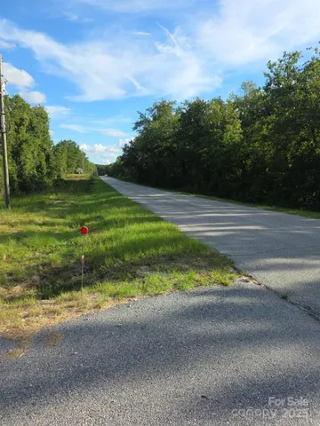 $244,900 | 2939 Landfill Road, Mount Croghan, SC 29727