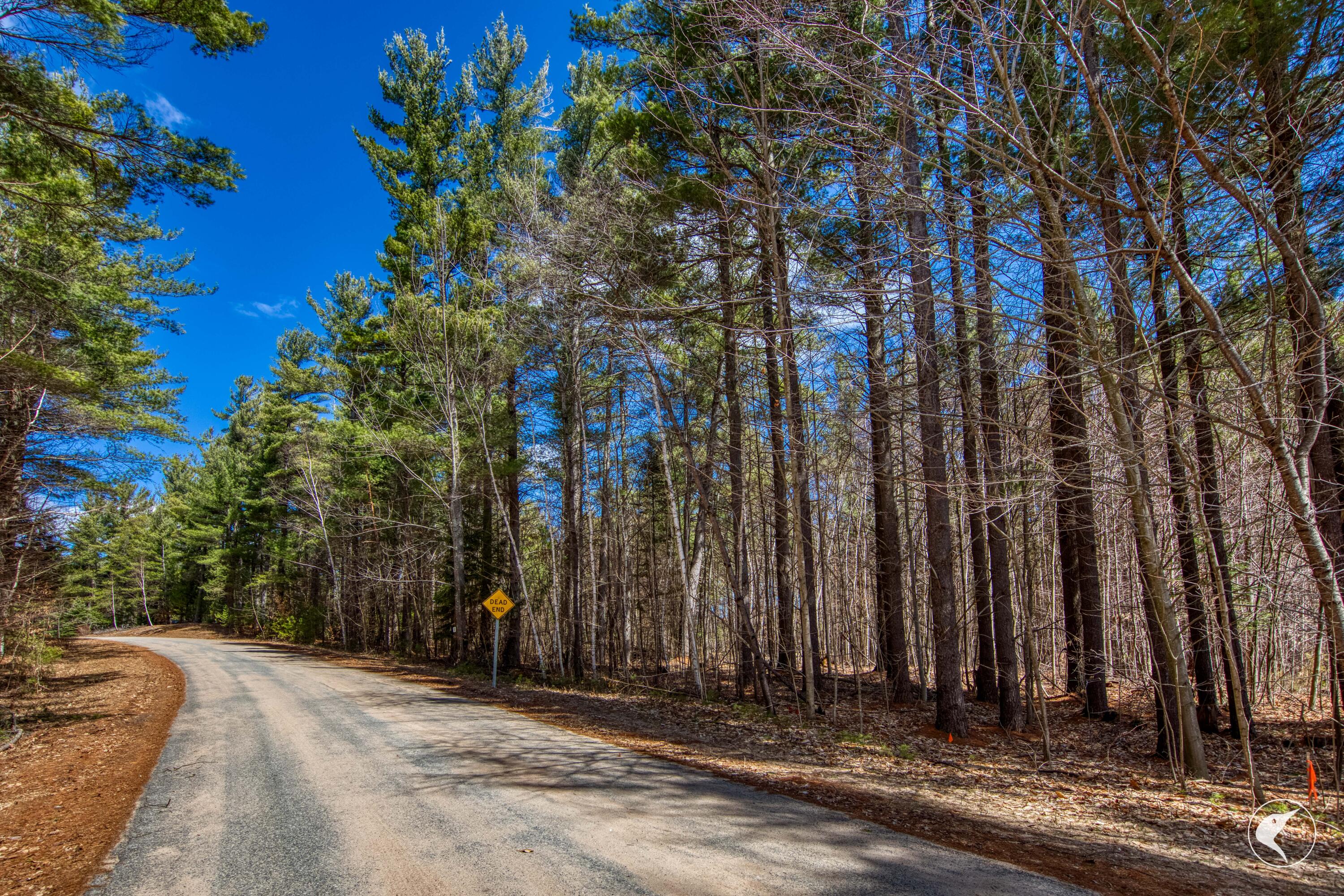 0 Pine Ridge Road Wilmington, NY 12997 - Photo 10 of 10 AA7A3602