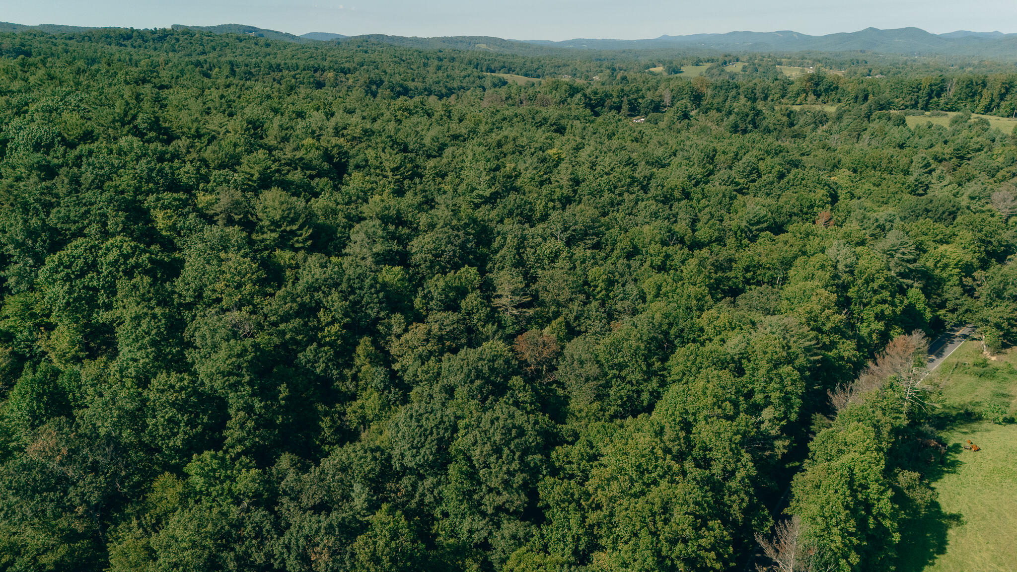 0 Alum Ridge Road Northwest Riner, VA 24149 - Photo 5 of 11 Roop 5