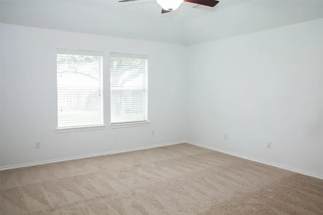 a view of a yard with a large tree and wooden fence