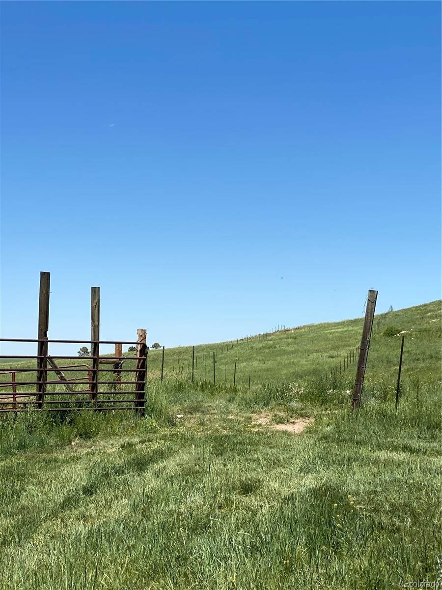 Haskel Creek Road Larkspur, CO 80118 - Photo 2 of 13