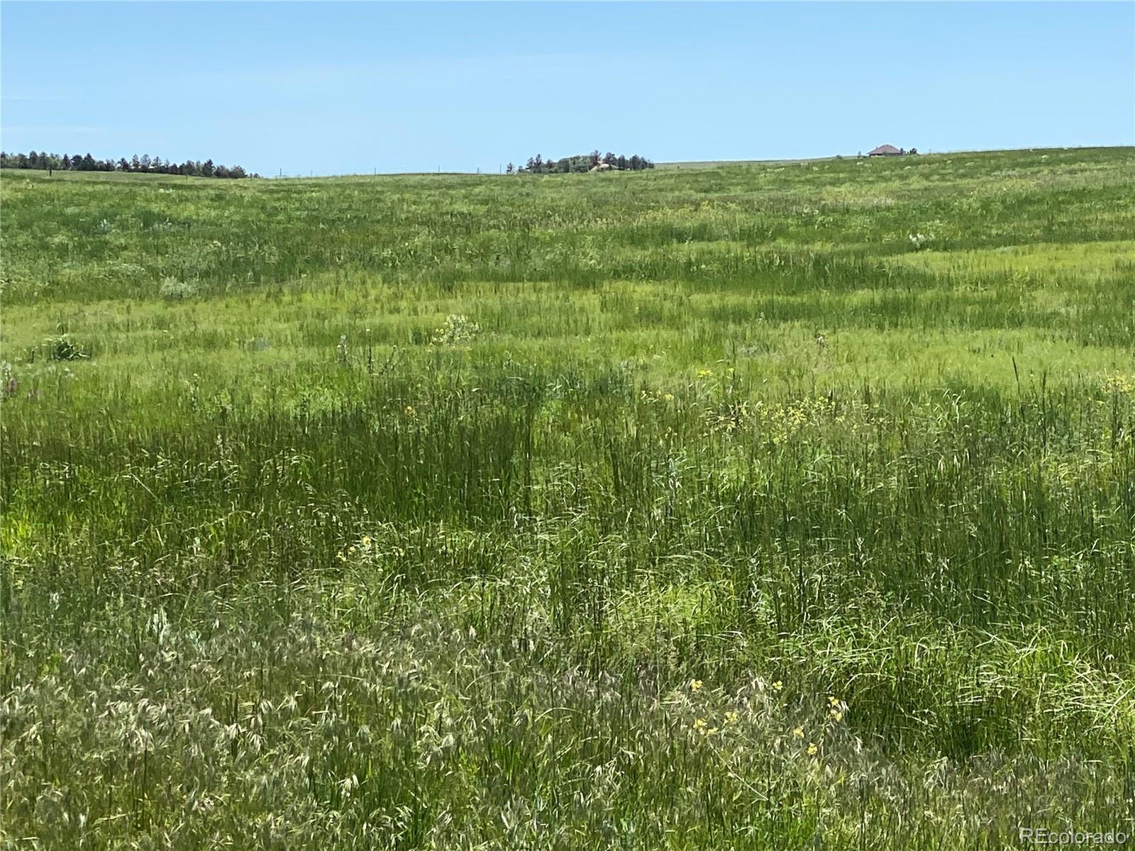 Haskel Creek Road Larkspur, CO 80118 - Photo 3 of 13