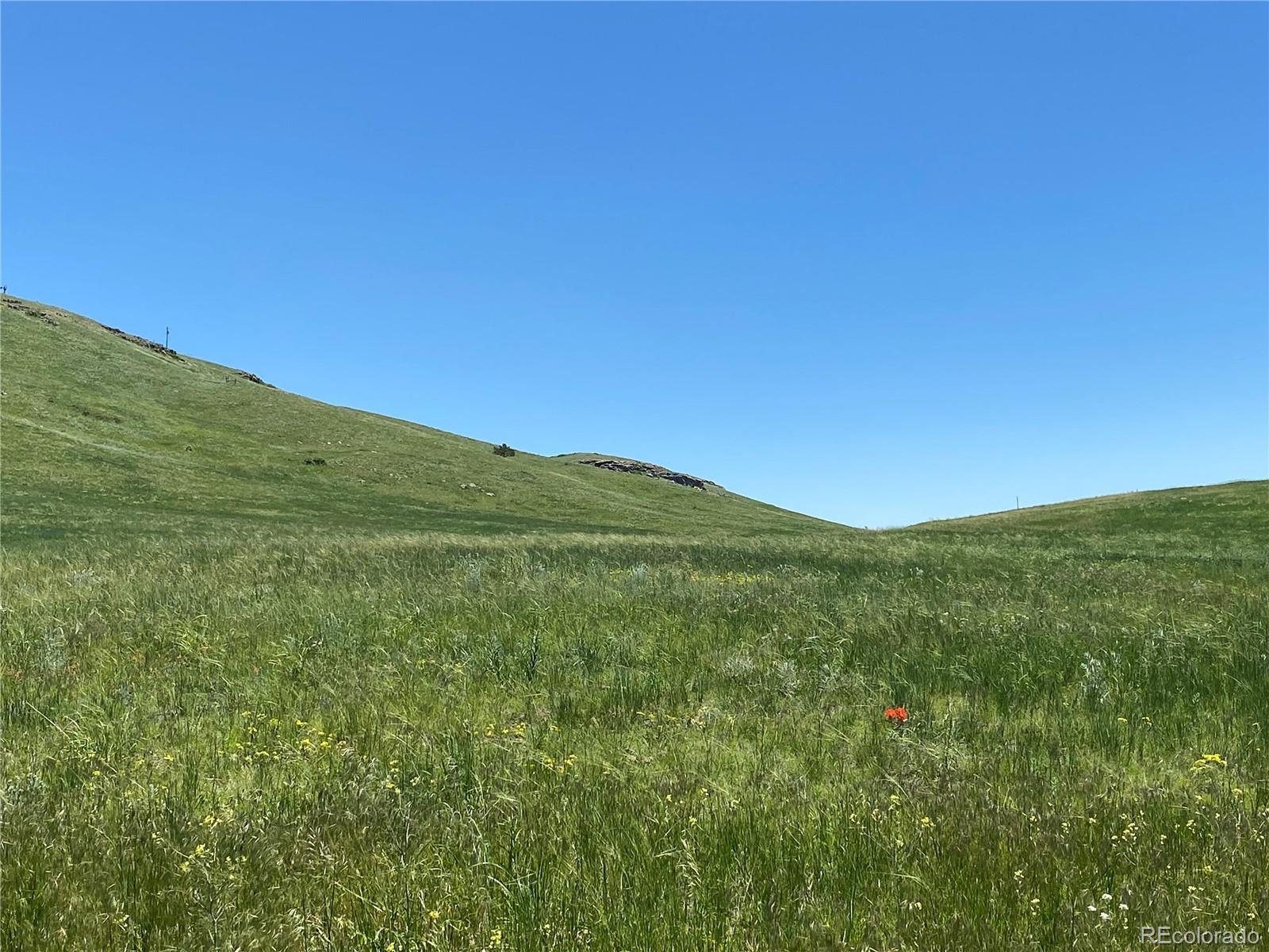 Haskel Creek Road Larkspur, CO 80118 - Photo 5 of 13