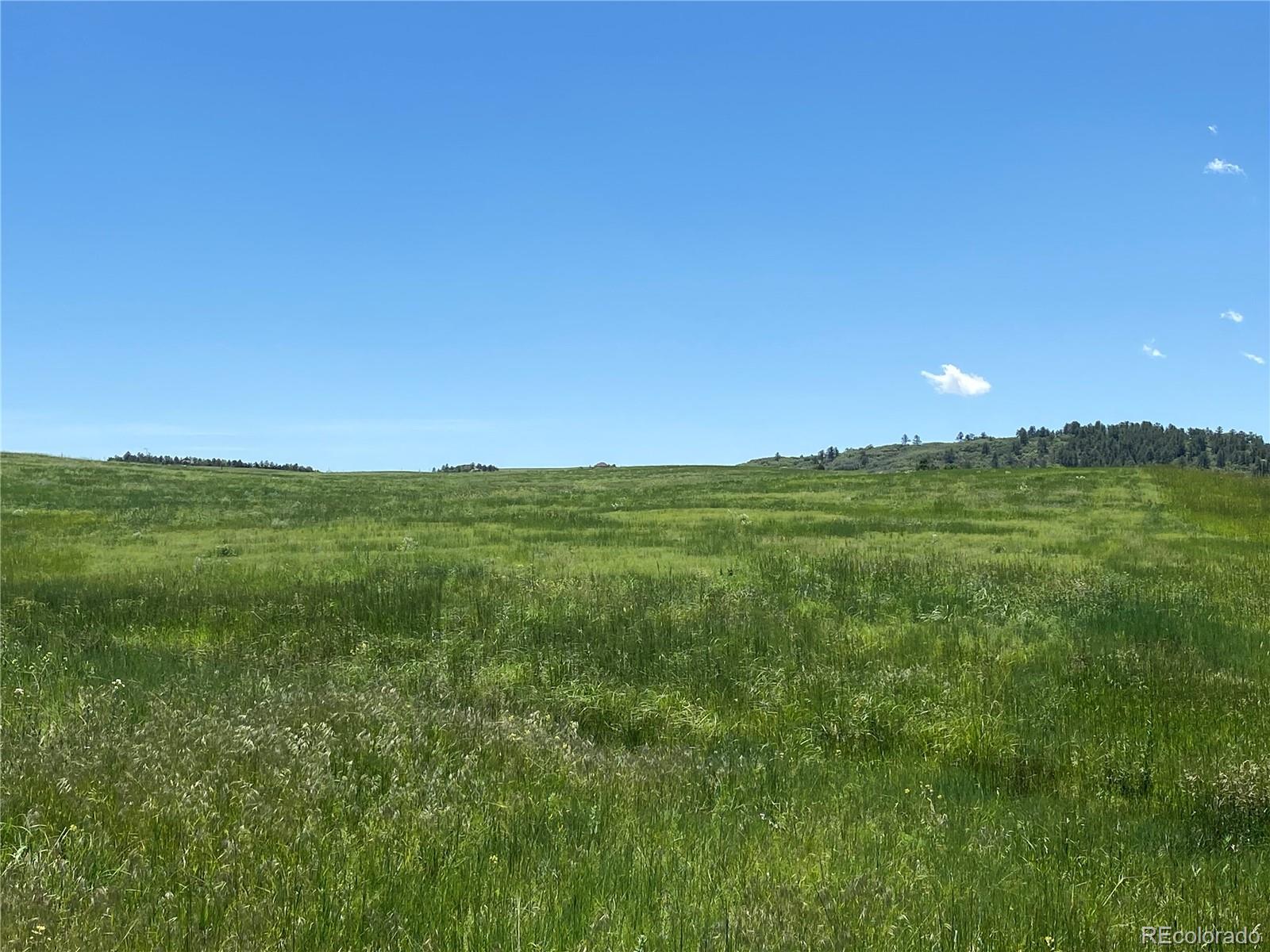 Haskel Creek Road Larkspur, CO 80118 - Photo 7 of 13