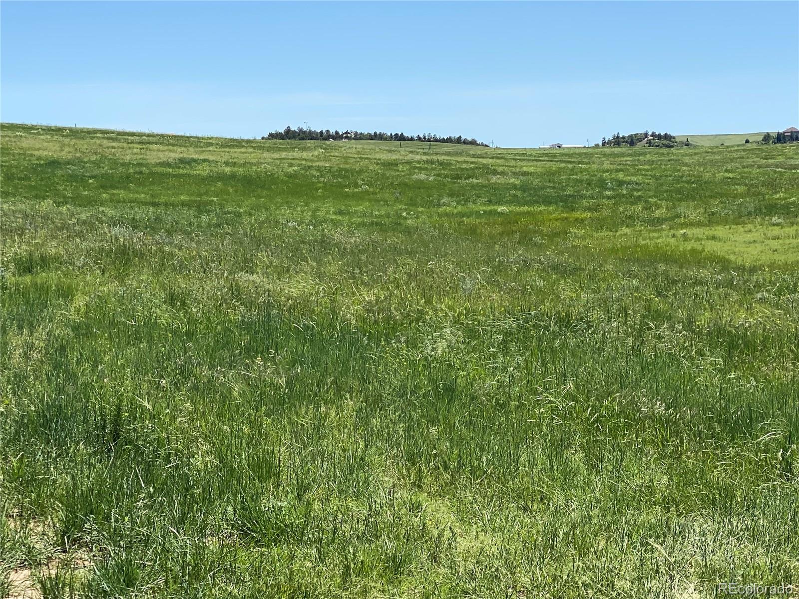 Haskel Creek Road Larkspur, CO 80118 - Photo 8 of 13