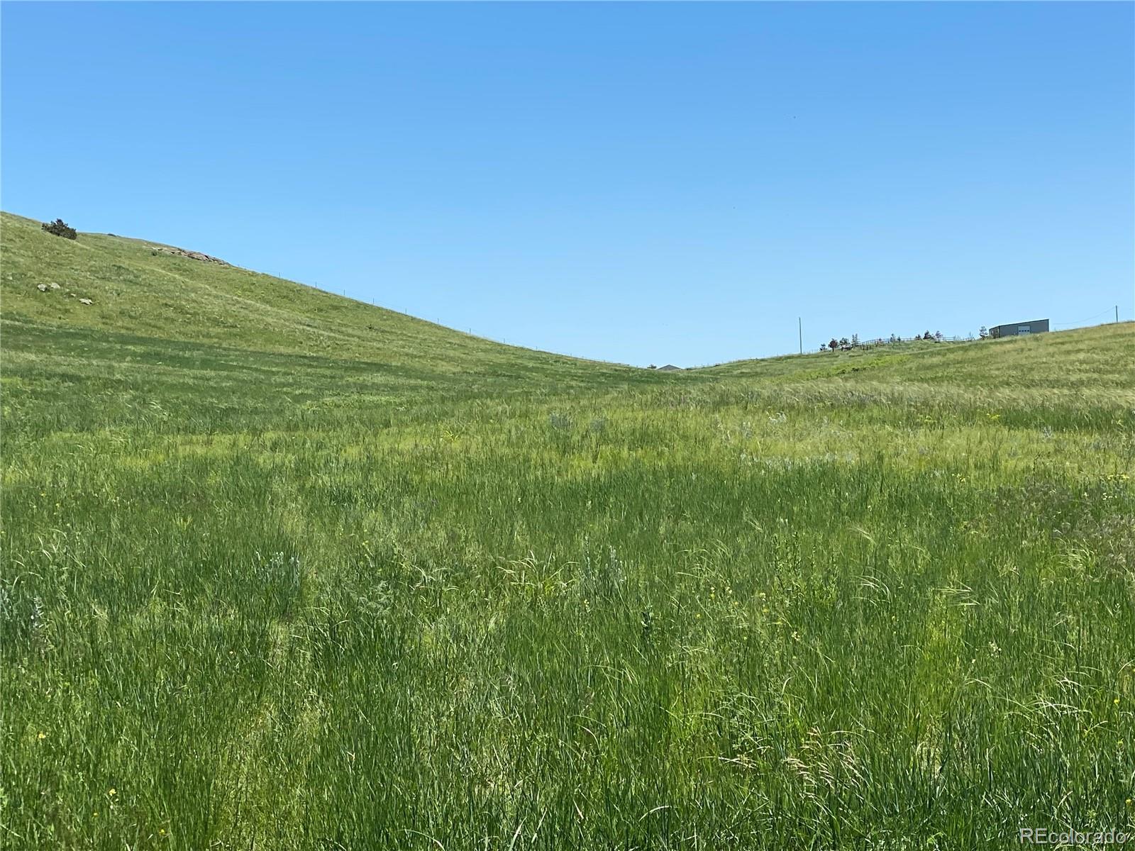 Haskel Creek Road Larkspur, CO 80118 - Photo 9 of 13