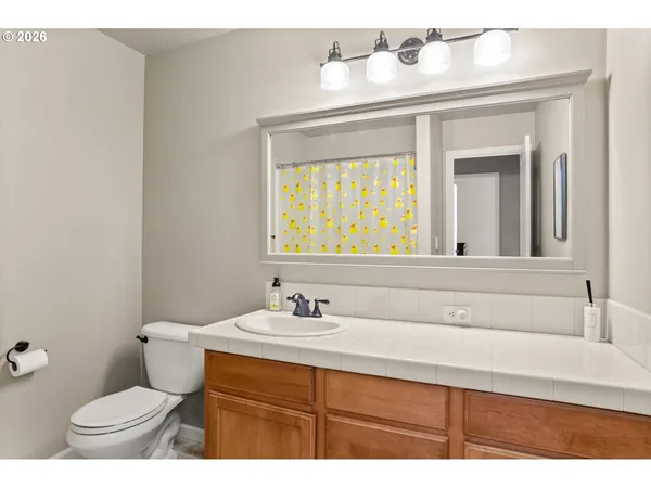 a bathroom with a sink and a toilet