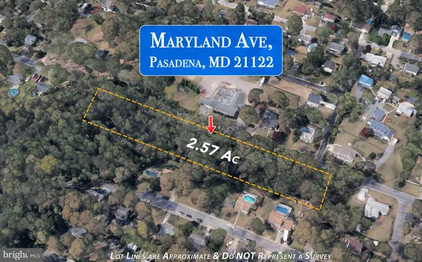 a sign broad in front of the tree