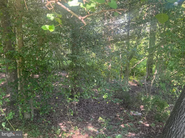 a view of a large yard with lots of green space