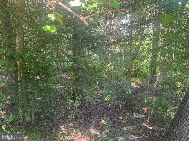 a view of a large yard with lots of green space